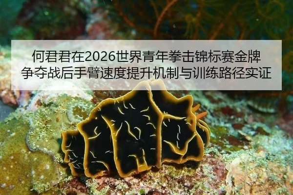 何君君在2026世界青年拳击锦标赛金牌争夺战后手臂速度提升机制与训练路径实证
