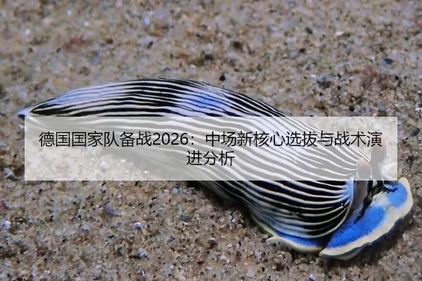 德国国家队备战2026：中场新核心选拔与战术演进分析